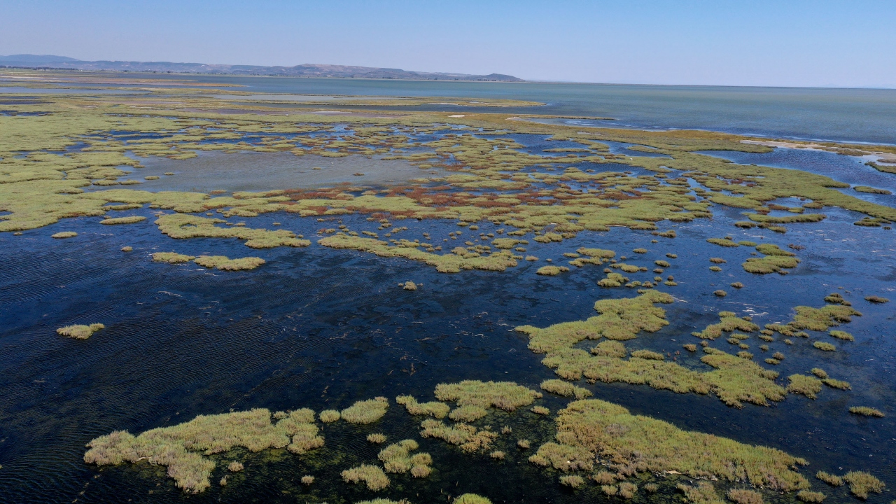Dilek Yarımadası Büyük Menderes Deltası Milli Parkı 