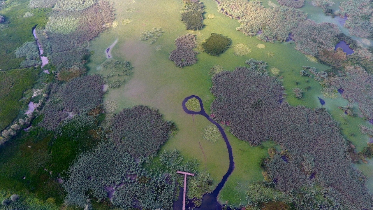 Efteni Gölü Kuş Cenneti 