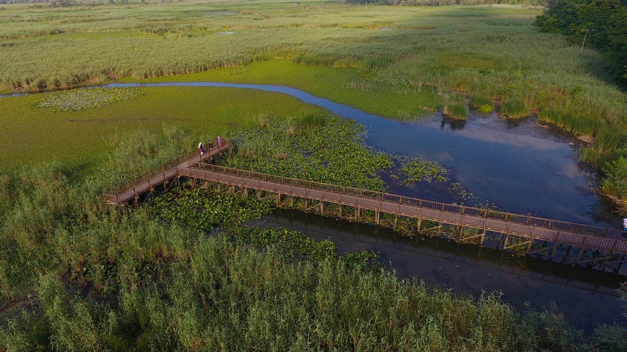 Efteni Gölü Kuş Cenneti 