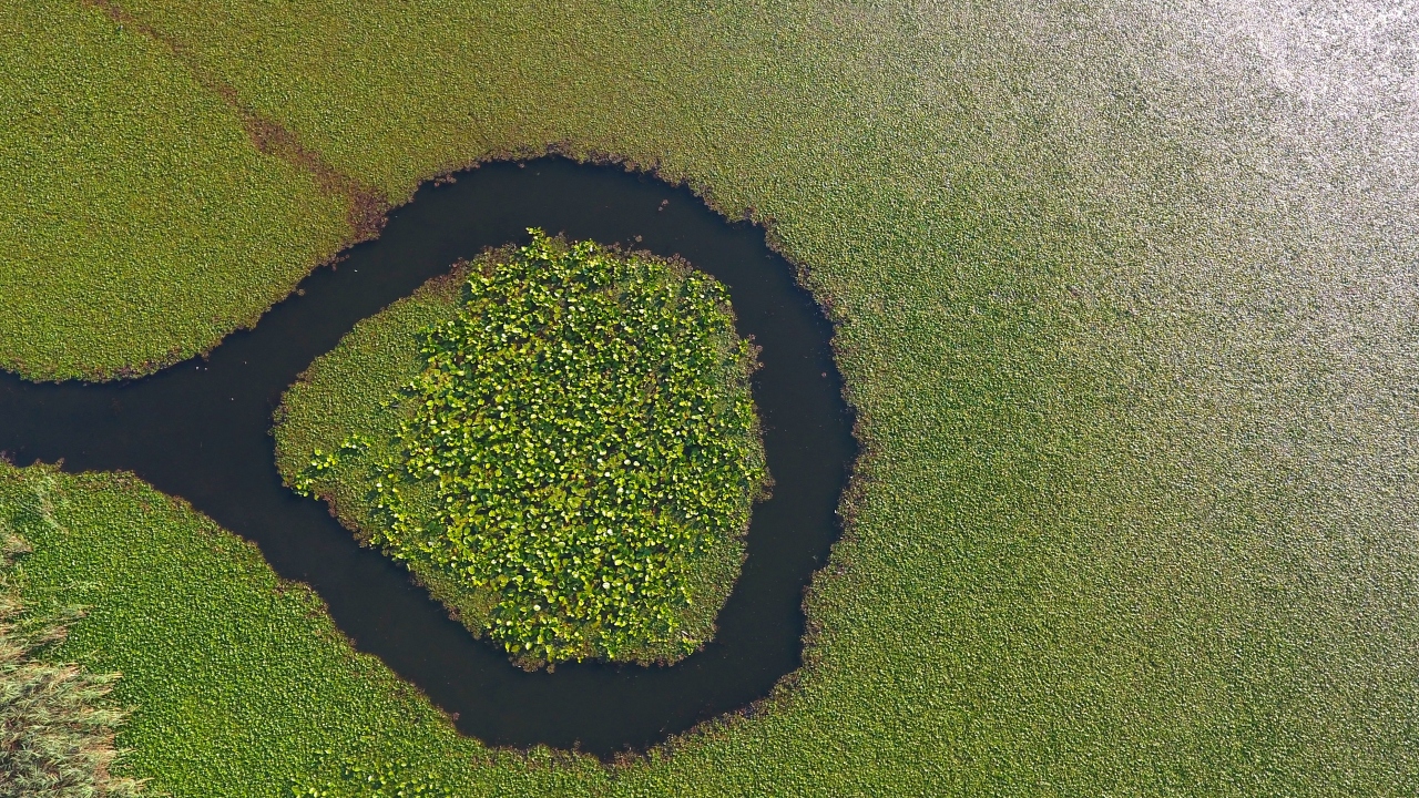 Efteni Gölü Kuş Cenneti 