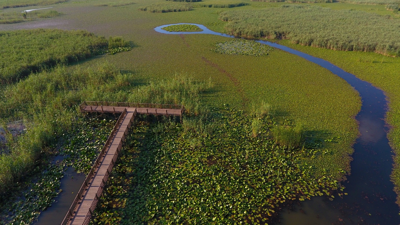 Efteni Gölü Kuş Cenneti 