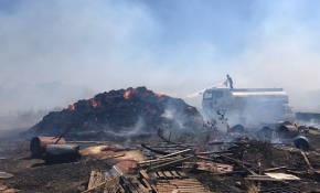 Bursa'da makilik alanda çıkan yangın ormana sıçradı