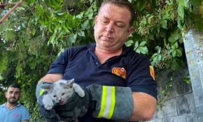 Motora sıkışan kediyi kendi sesi kurtardı