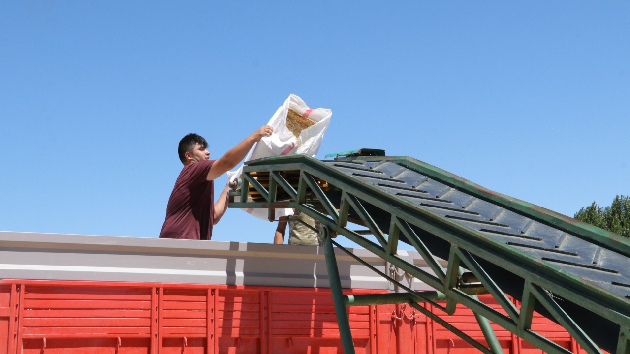 Yozgat�ta üretilen samanlar yurdun dört bir yanına Yozgat�ta üretilen samanlar yurdun dört bir yanına