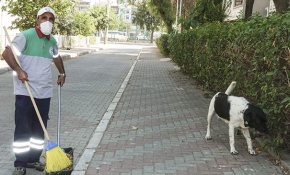 Üç bacaklı sokak köpeği ile temizlik işçisinin dostluğu