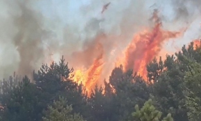 Kastamonu'da orman yangını
