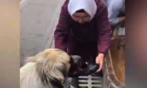Köpeğe su içiren yaşlı kadın: Kendi nefsini düşünmeyeceksin