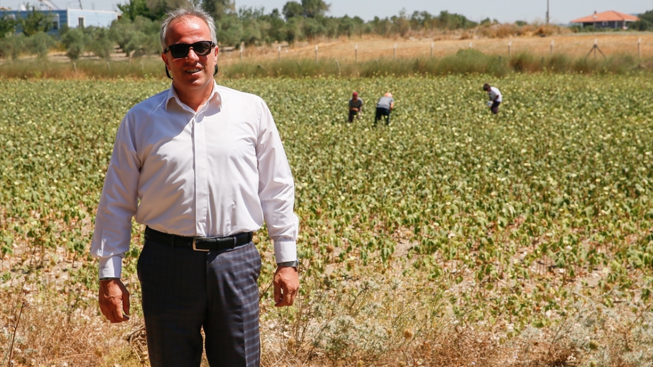 "Kesinlikle sulanmaz"