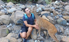 Dağda rastladığı karaca ile kurduğu dostluk takdir topladı