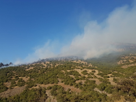 Balıkesir'de orman yangını
