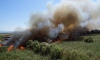 Balıkesir'de sazlık alanda yangın çıktı