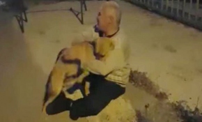 3 aydır kayıp köpeğiyle kavuşma anı duygulandırdı