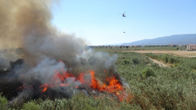 Edremit'in turistik mahallesinde sazlık yangını