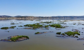 Ladik Gölü'nde kara göründü