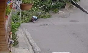 İstanbul'da bisikletli çocuğun üstüne ağaç devrildi