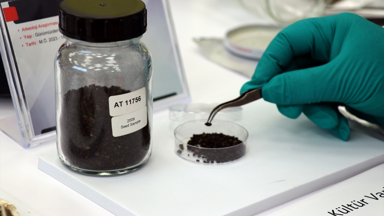 "Dünyaya analiz satabilecek seviyeye geldik"