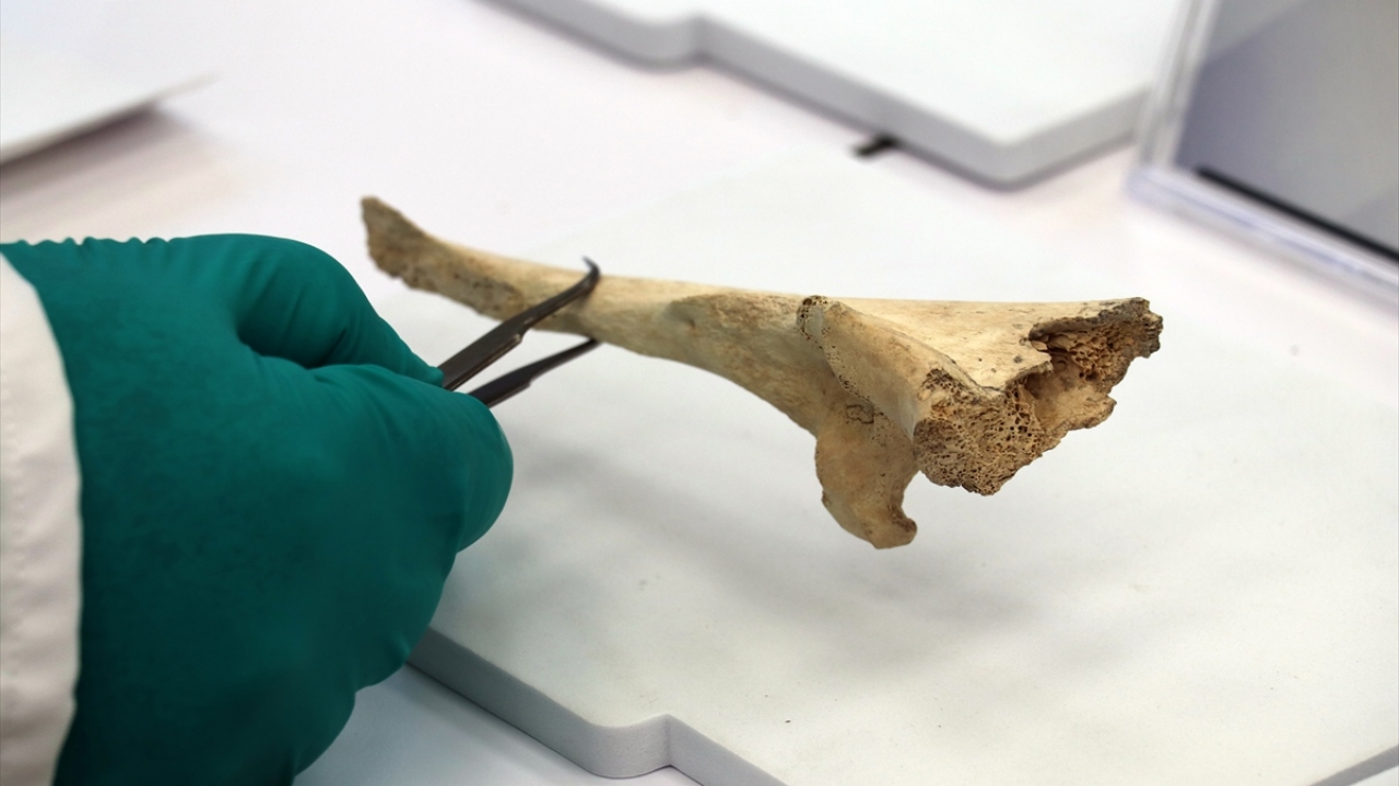 "Göbeklitepe örneklerini biz tarihlendiriyoruz"