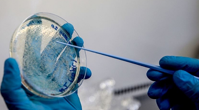 İngiltere'de geliştirilen COVID-19 aşısı Uganda'da da denenecek