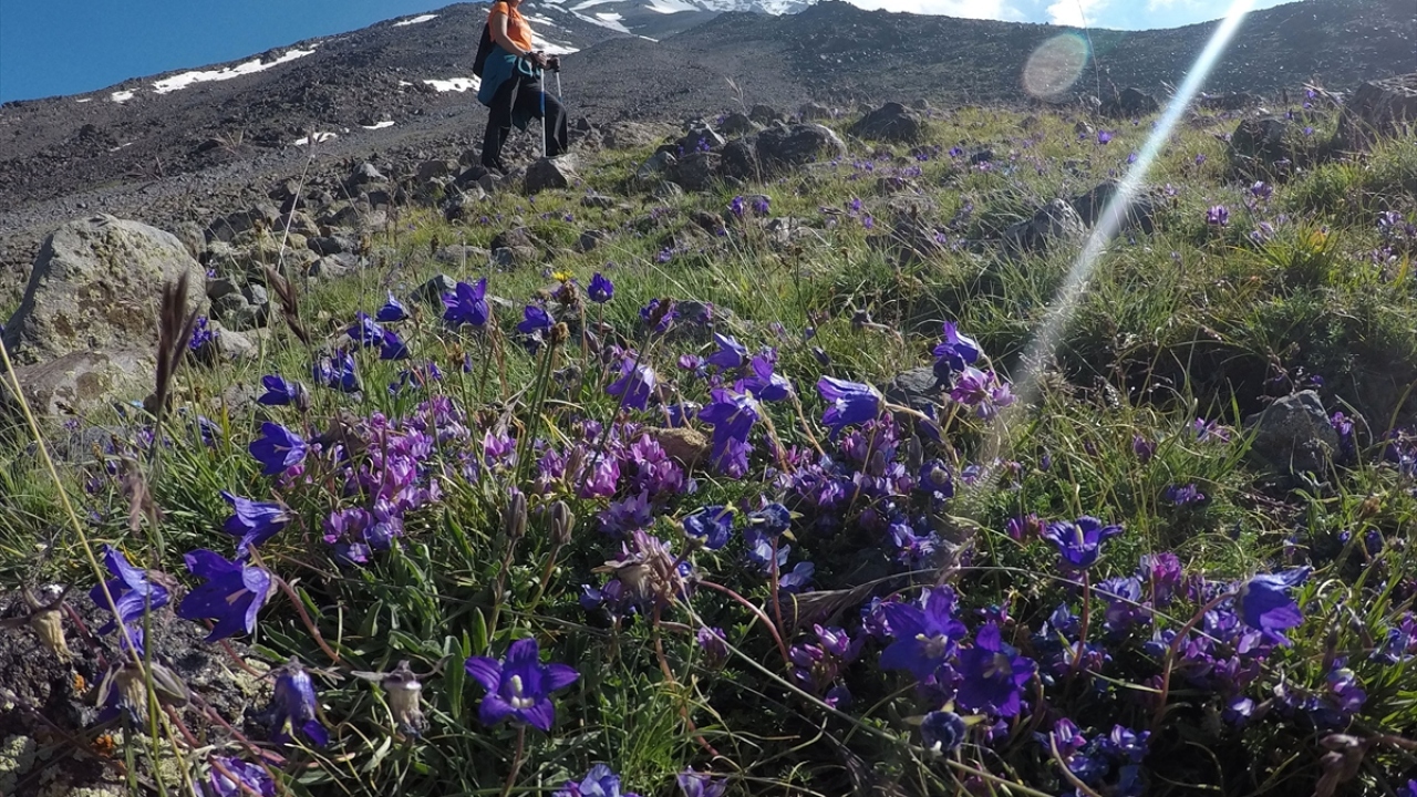 Dağın eteklerinden itibaren yükseldikçe değişen hava şartları nedeniyle de birbirinden farklı bitkiler yetişiyor. Yetişen bitkiler dağın coğrafi güzellikleriyle görülmeye değer manzaralar sunuyor. 