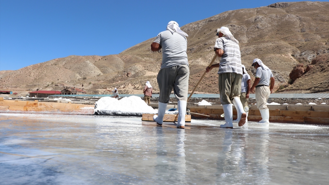 "Cam piramit seralar yaptık"