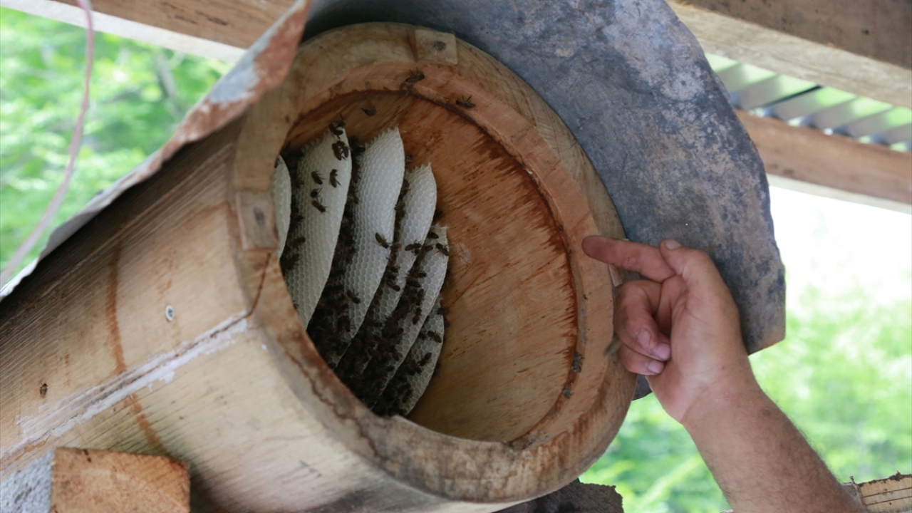 Bal rekoltesinin geçmiş yıllara oranla çok fazla olduğunu belirten Kara, son 10 yılın en verimli dönemini yaşadıklarına dikkati çekti.