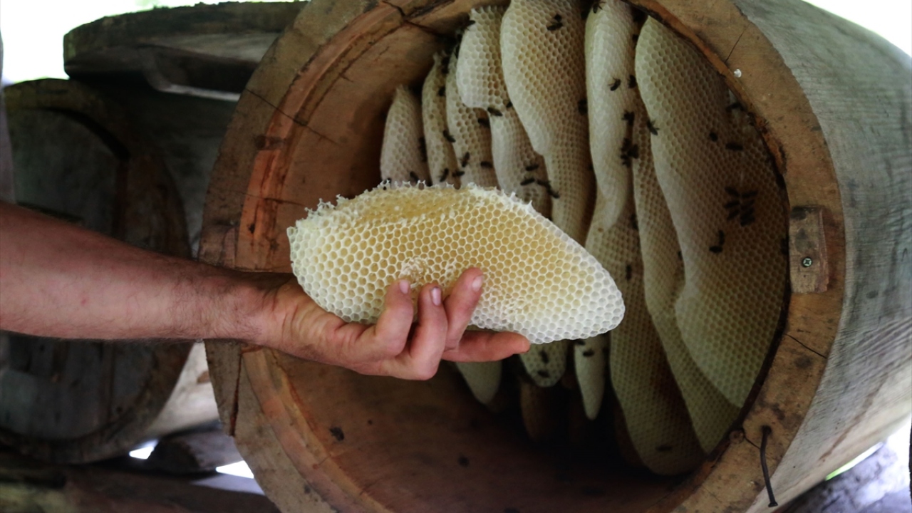 "Bal çok olmasına rağmen elimizde bal kalmadı"