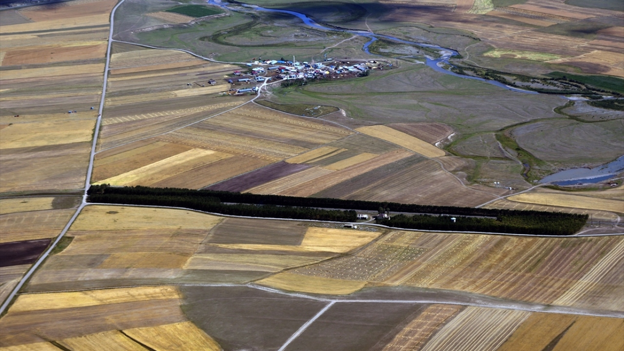 Tarımda ekim ve dikim faaliyetlerinin yüksek rakımı sebebiyle diğer illere göre nisan, mayıs aylarında başladığı kentte, toprakla buluşturulan tohumlardan elde edilen ürünler ağustos ayında hasat ediliyor.