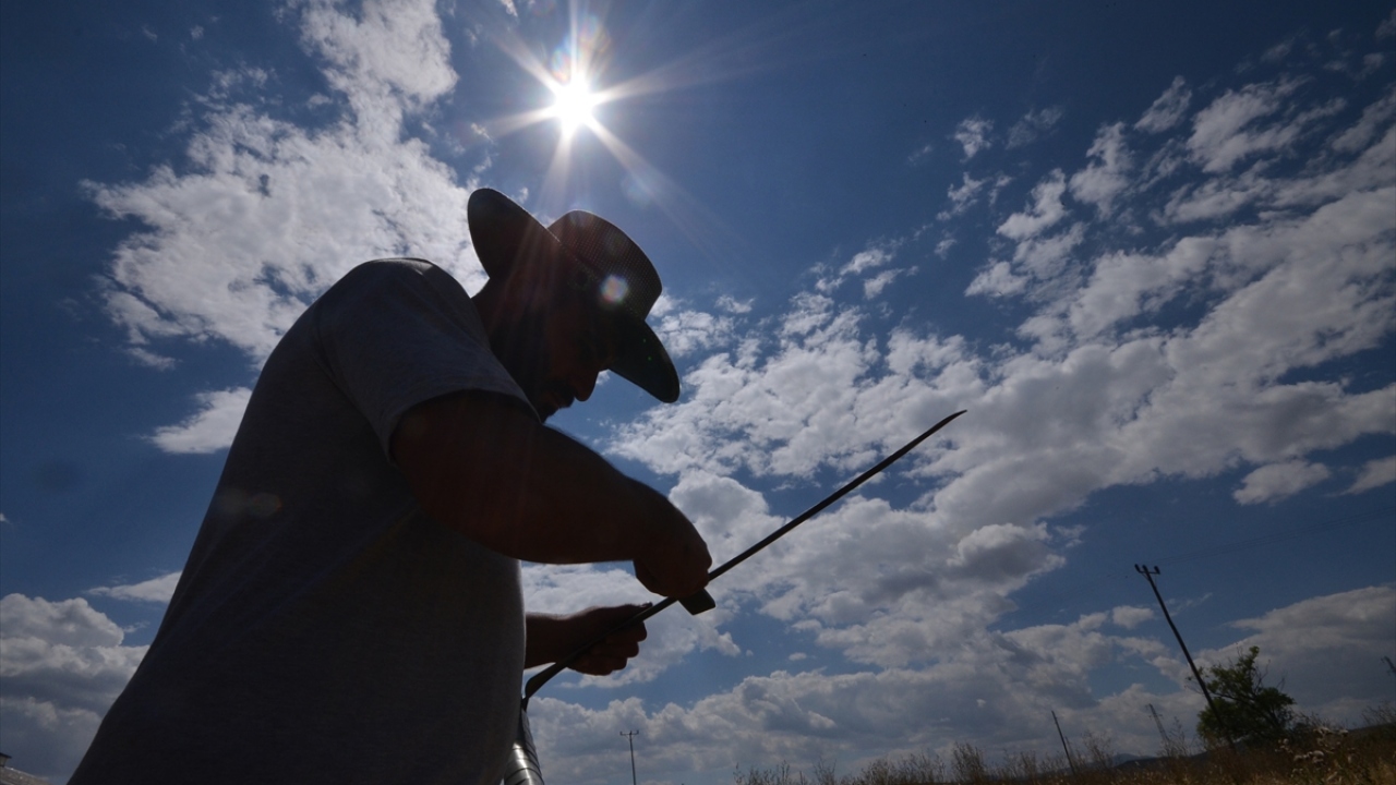 Yurdun en yüksek rakımlı yerleşim yerlerinden ve "kara kış"ın en sert geçtiği bölgelerden olan Sarıkamış`da da çiftçilerin tarlalarındaki zorlu hasat işlemleri sürüyor.