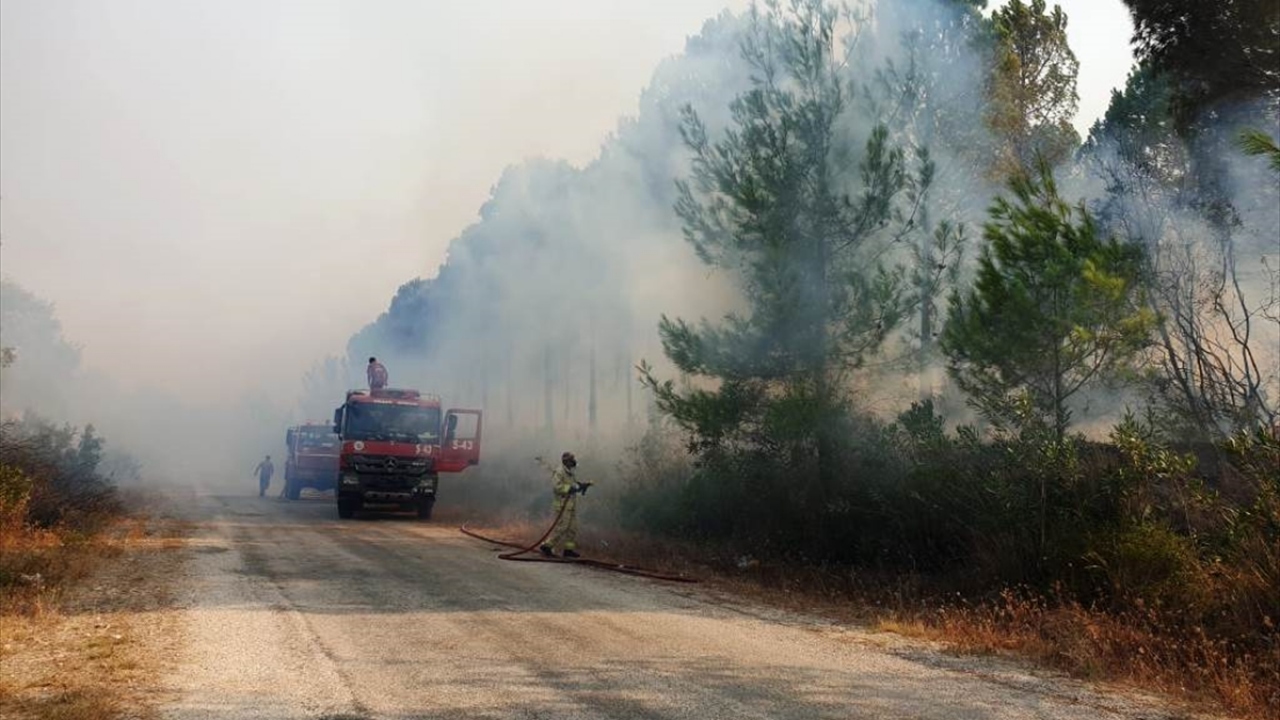 Mehmetli Beldesi`nde, ormanlık alanda başlayan yangın rüzgarın da etkisiyle kısa sürede büyüdü.