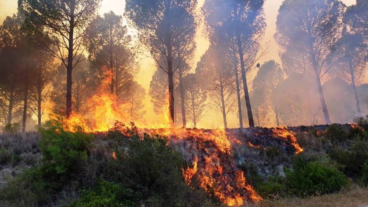 İhbar üzerine bölgeye yangın söndürme helikopteri ile Sumbas, Kadirli ve Kozan ilçelerinden itfaiye ekipleri sevk edildi.