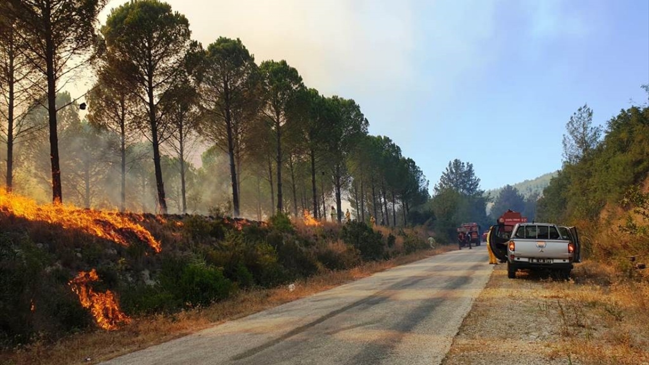 Arazözler ve iş makinelerinin de yönlendirildiği bölgede yangına müdahale ediliyor.