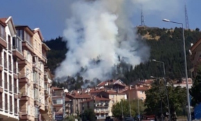 Ankara'da ormanlık alanda yangın