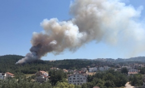 Bursa'da yerleşim yeri yakınında orman yangını