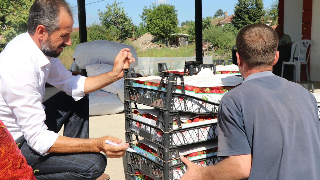 Pazarlama konusunda sıkıntı yaşamıyorlar