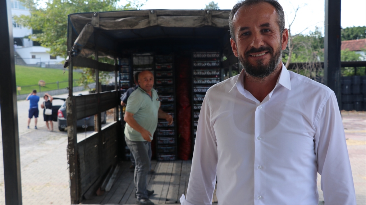 Sermayecik Köyü Tarımsal Kalkınma Kooperatifi Başkanı Resul Çiftçi, köy halkının yarısının geçimini çilekten sağladığını söyledi.