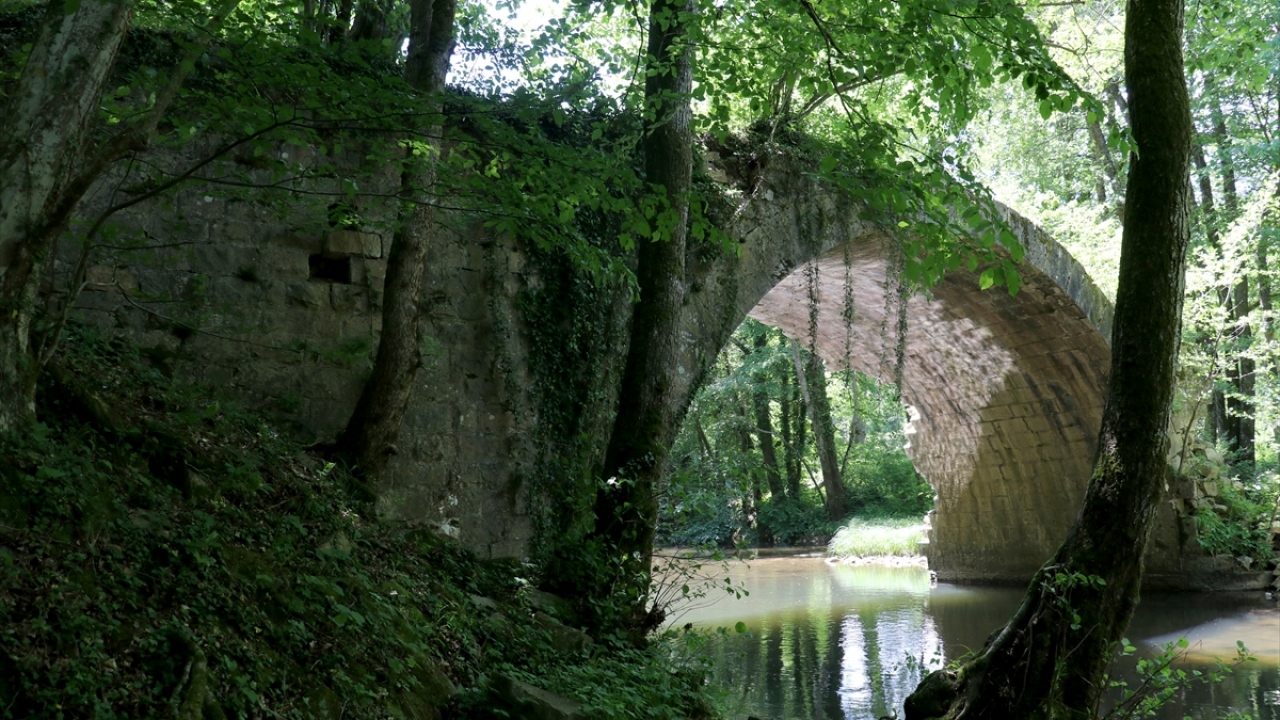 Rezve Deresi`nin sakin aktığı günlerde heybetini dereye yansıtan köprünün, ağaçların arasında üzerini saran sarmaşıklar ile doğa ile bütünleşmesi insana ayrı bir keyif veriyor.