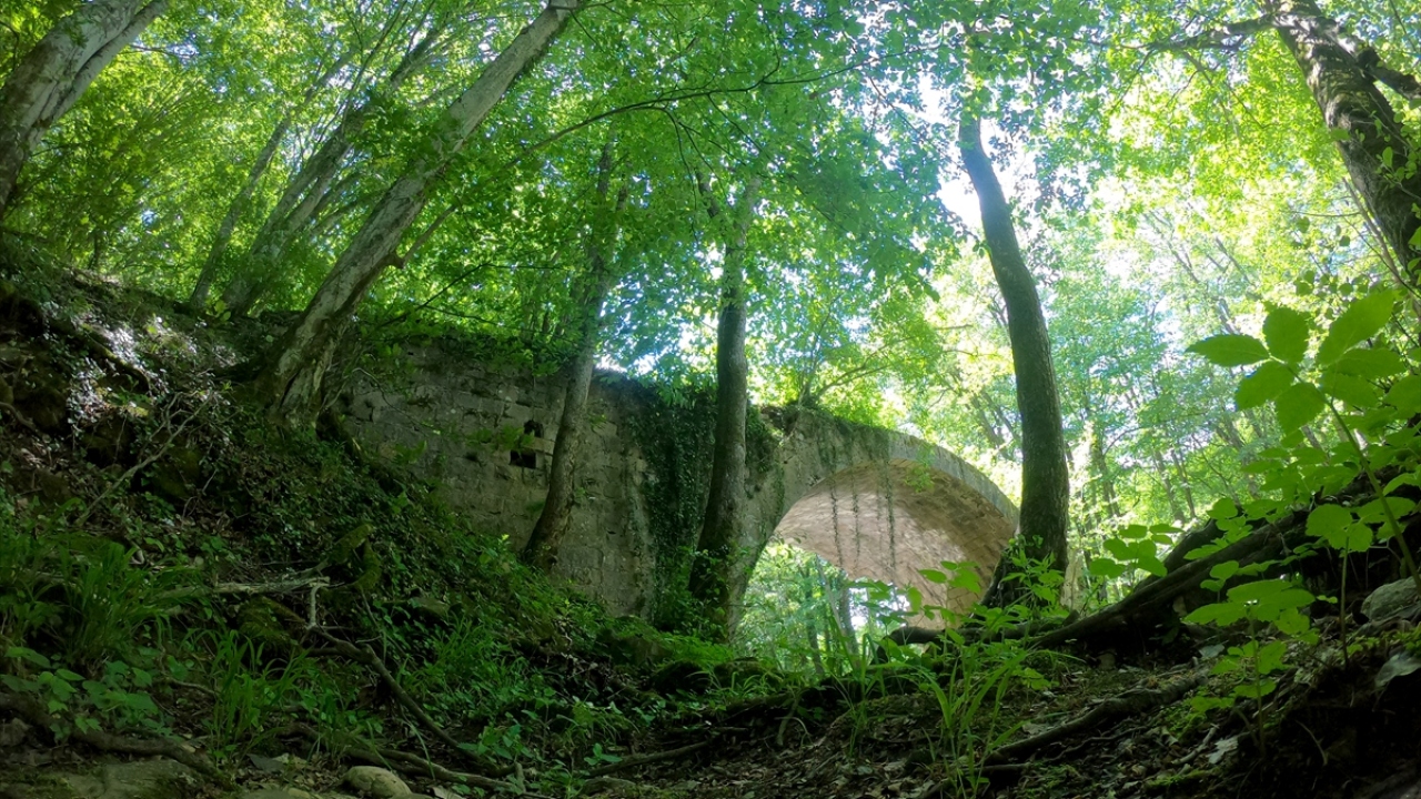 "Köprüyü ayağa kaldırarak turizme kazandıracağız"