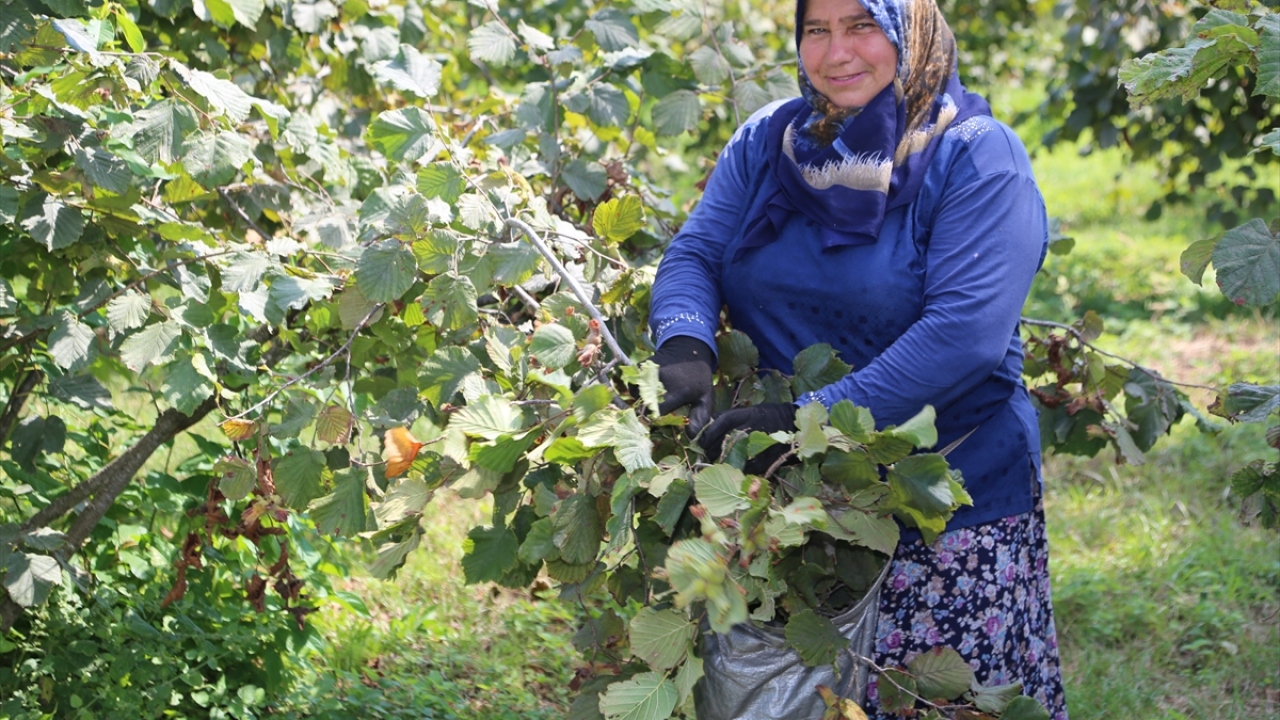 "Proje sayesinde üreticimiz daha fazla kazanmış oluyor"