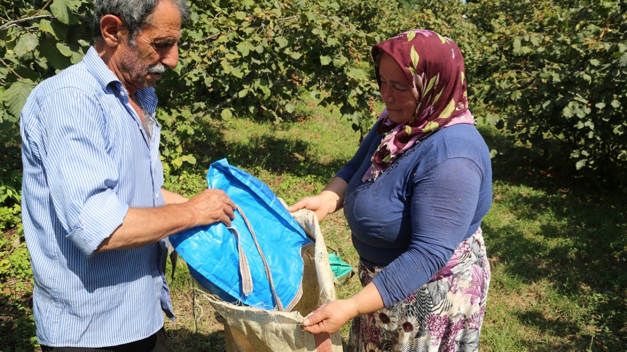 Örnek bahçelerde uygulanan tarım teknikleri hakkında Soydan, şu bilgileri paylaştı: