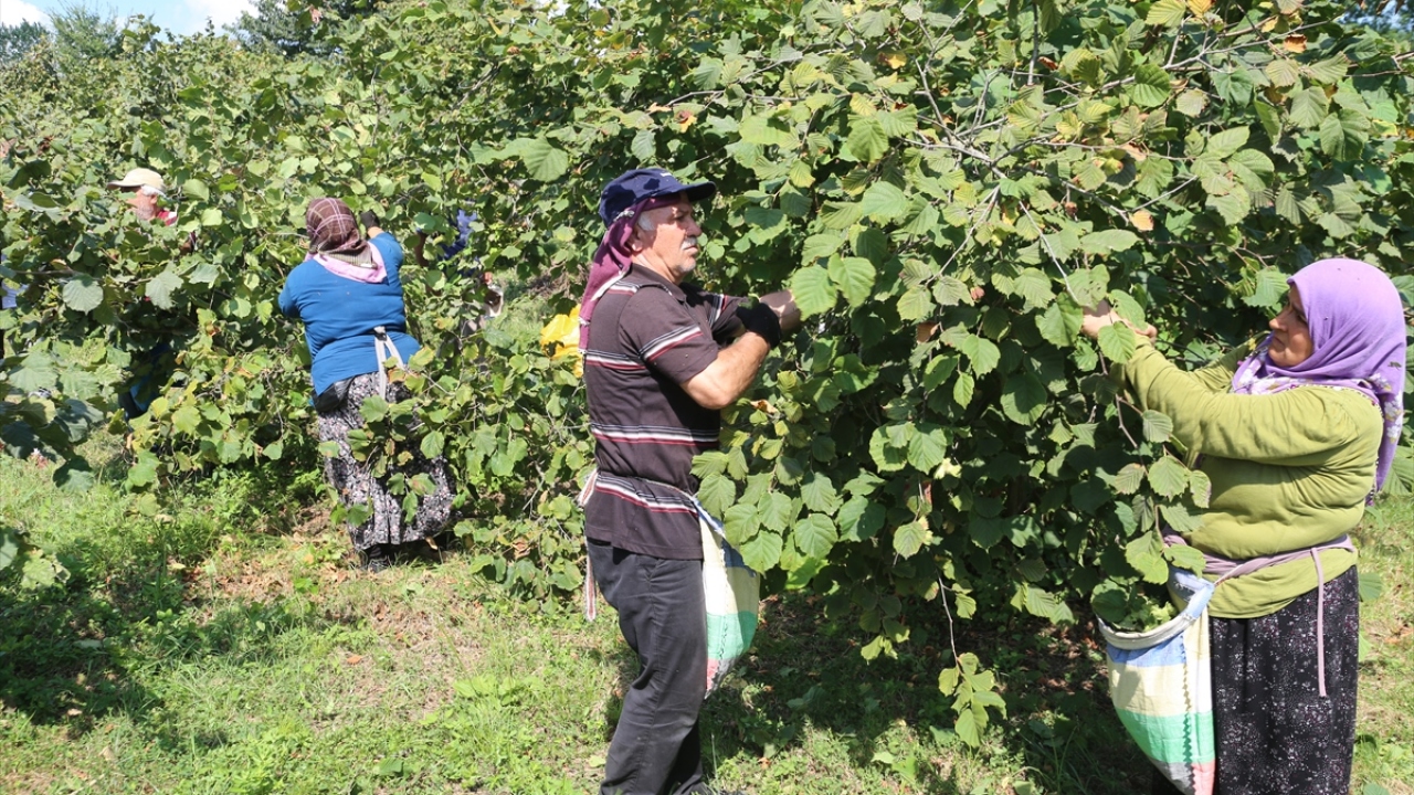 Üreticiler projeden memnun 