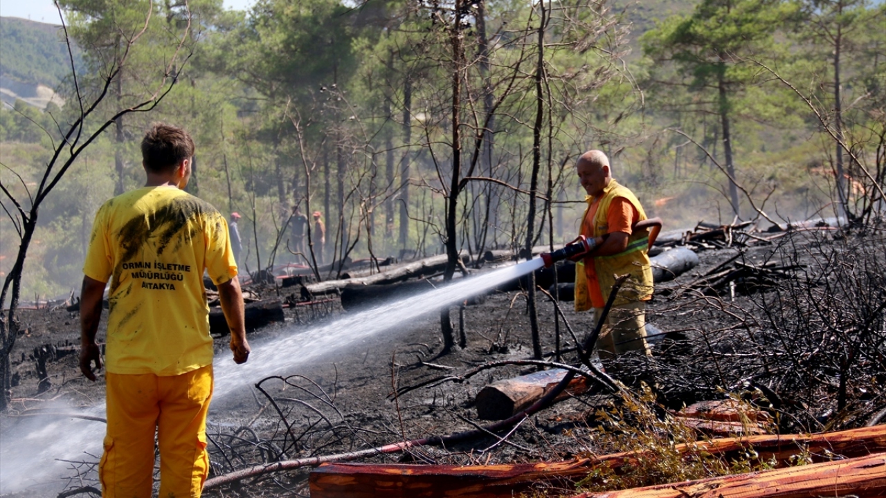 Yayladağı Dağardı mevkisindeki sınır duvarı yakınlarında henüz bilinmeyen bir nedenle ormanlık alandan dumanlar yükseldi. 