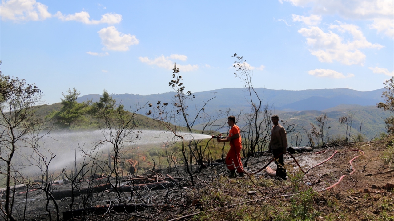 Yangında yaklaşık 3 dekarlık alan zarar görürken, başlatılan soğutma çalışmaları devam ediyor.