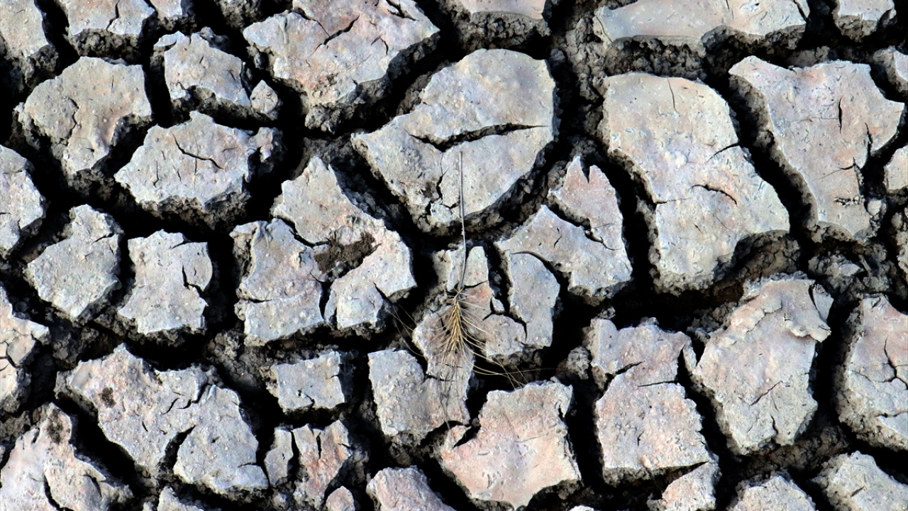 Köy Muhtarı Hüseyin Aşık, yaptığı açıklamada, son günlerde bilinçsiz sulama nedeniyle göletteki suyun ciddi oranda azaldığını söyledi.