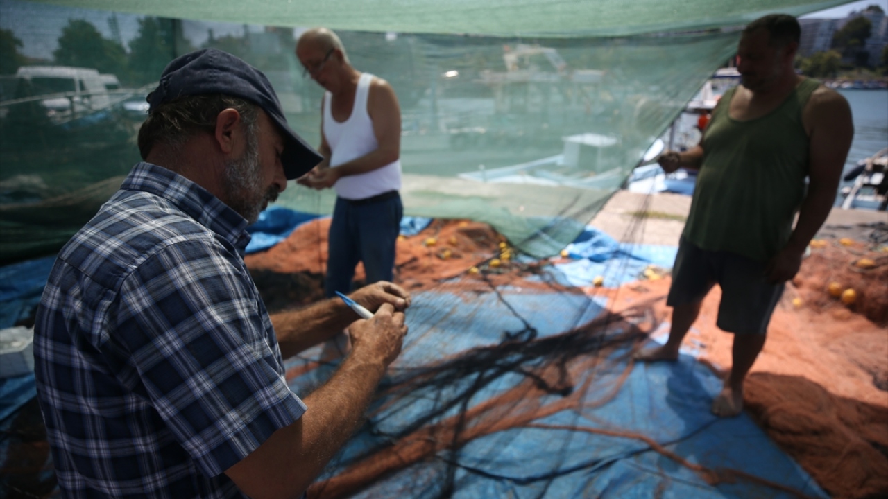 Akçakoca Su Ürünleri Kooperatifi Başkanı Mustafa Karakaş, yaptığı açıklamada, yeni sezondan umutlu olduklarını söyledi.