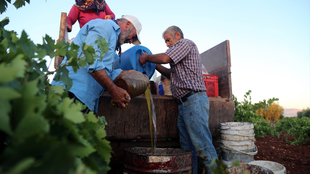Yaş ve kuru tüketim için ayrıştırılan üzüm, tüccarlar tarafından alınıp fabrika ve depolara ulaştırılıyor.