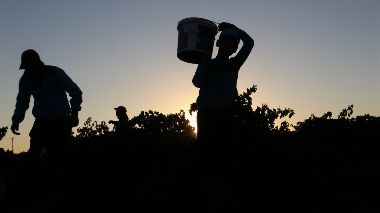 Kökçüoğlu, şöyle devam etti: