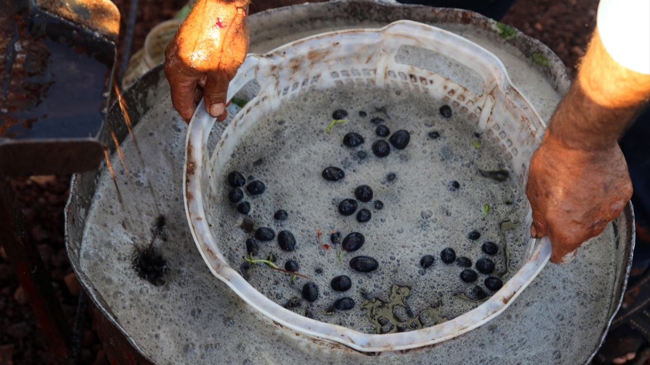 Üzümün pek çok alanda değerlendirildiğini dile getiren Özdemir, "Üzümler kurutmalık ve yaş olarak ayrıştırılır. Kurutmalıklarla pestil ve pekmez yapılır." ifadesini kullandı.