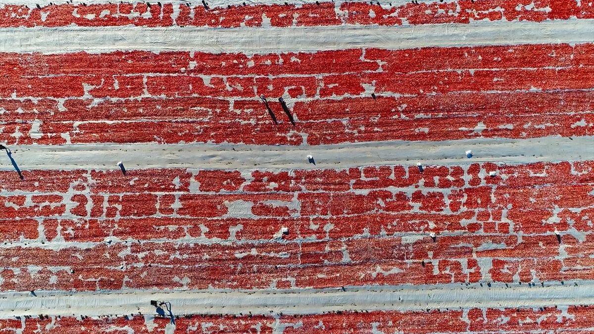 Topluluk üyesi Serhat Tüm de fotoğraf çekmenin zor ama bir o kadar da zevkli bir uğraş olduğunu ifade etti.