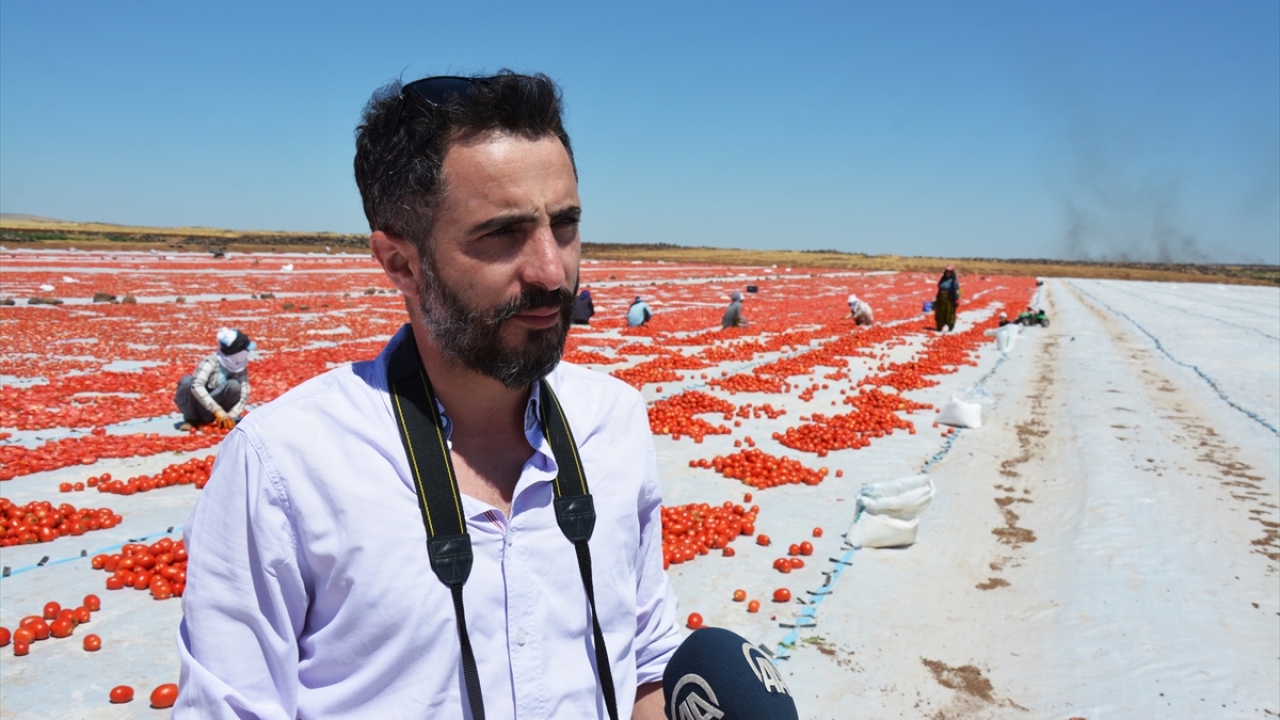 Nida Sanat Topluluğu Başkanı Abdullah Hakan Lale, bölgenin fotoğraf meraklıları için çok iyi bir doğal stüdyo olduğunu söyledi.