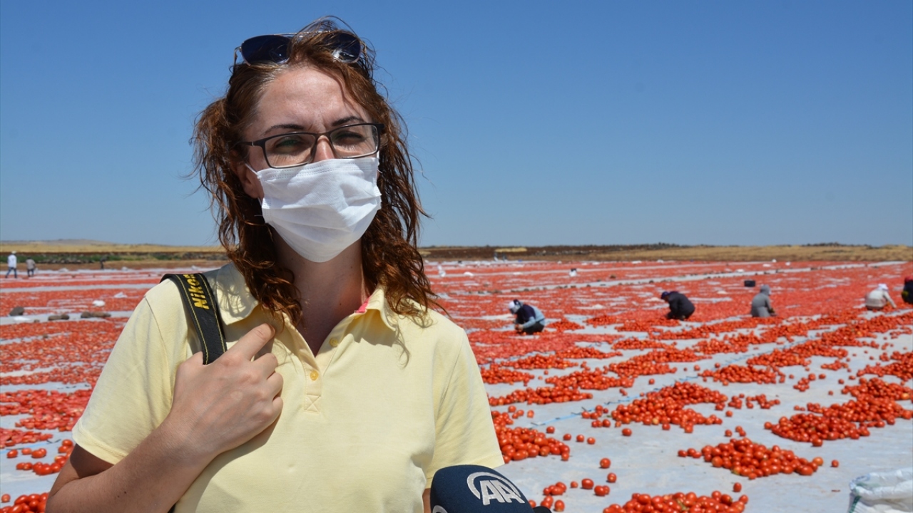 Domates sergisinde en iyi kareyi yakalamak için çaba döken fotoğraf sanatçılarından Hanife Çalbayram ise fotoğraf çekmenin kendisi için bir tutku olduğunu söyledi.  